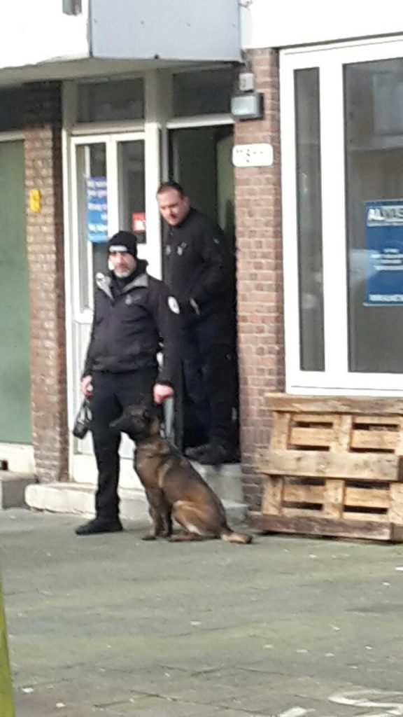 Security guarding the door with a dog